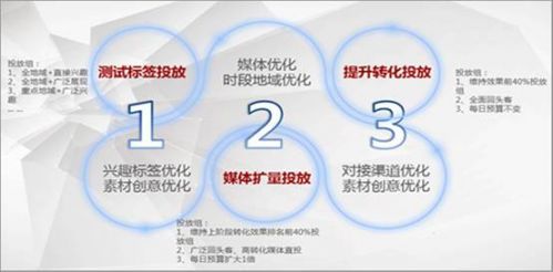 易博DSP唯品會案例